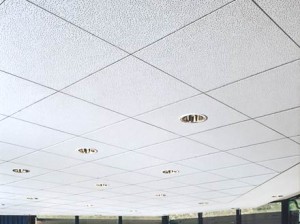 12-300x224